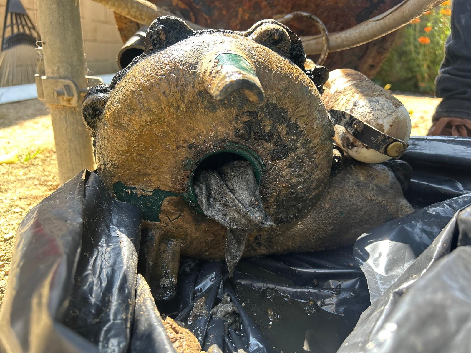 Sewage Ejector Pump Replacement Installation Near Me Los Angeles CA 90043