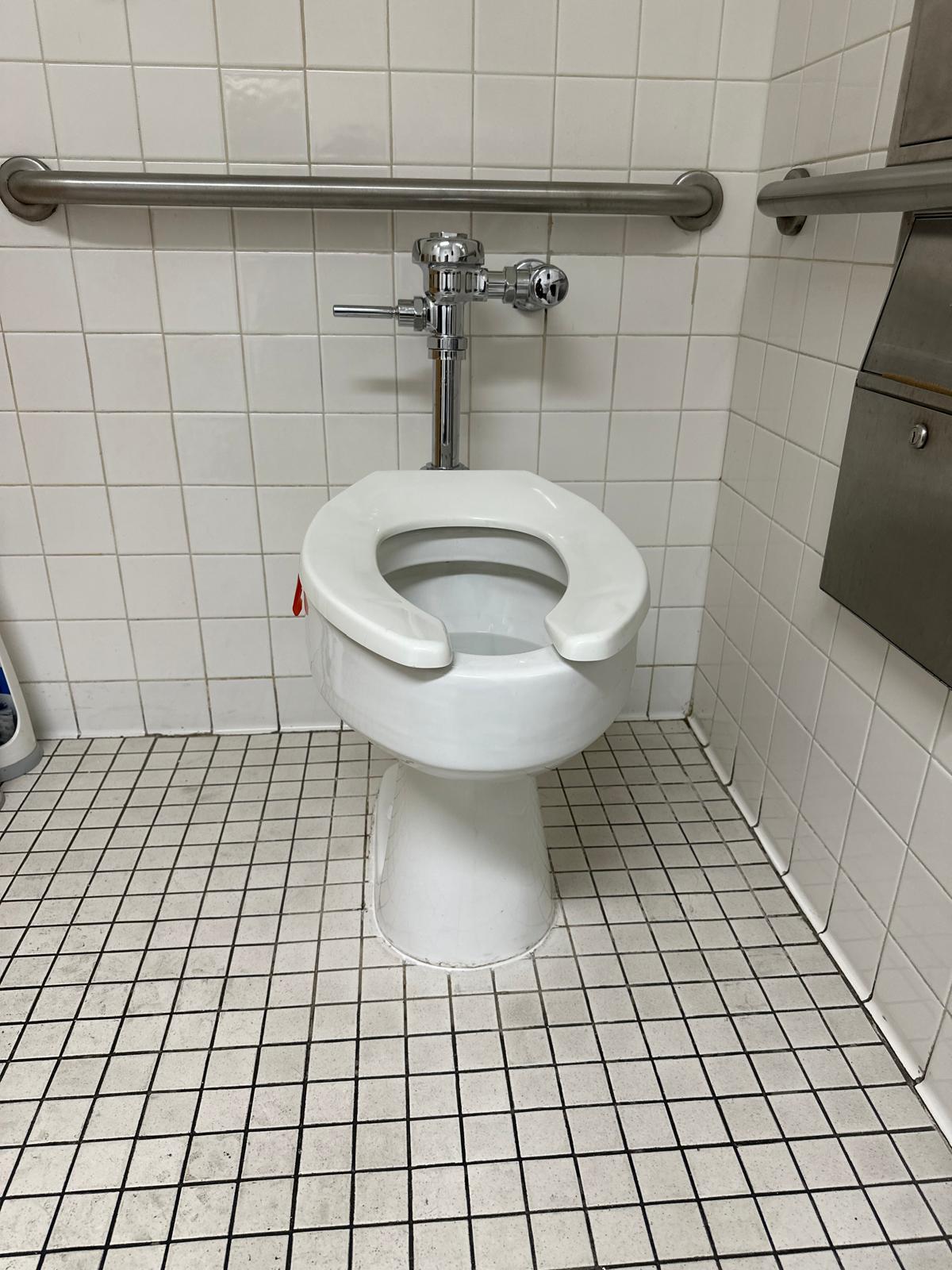 Toilet Flushing System Replacement in Los Angeles, California