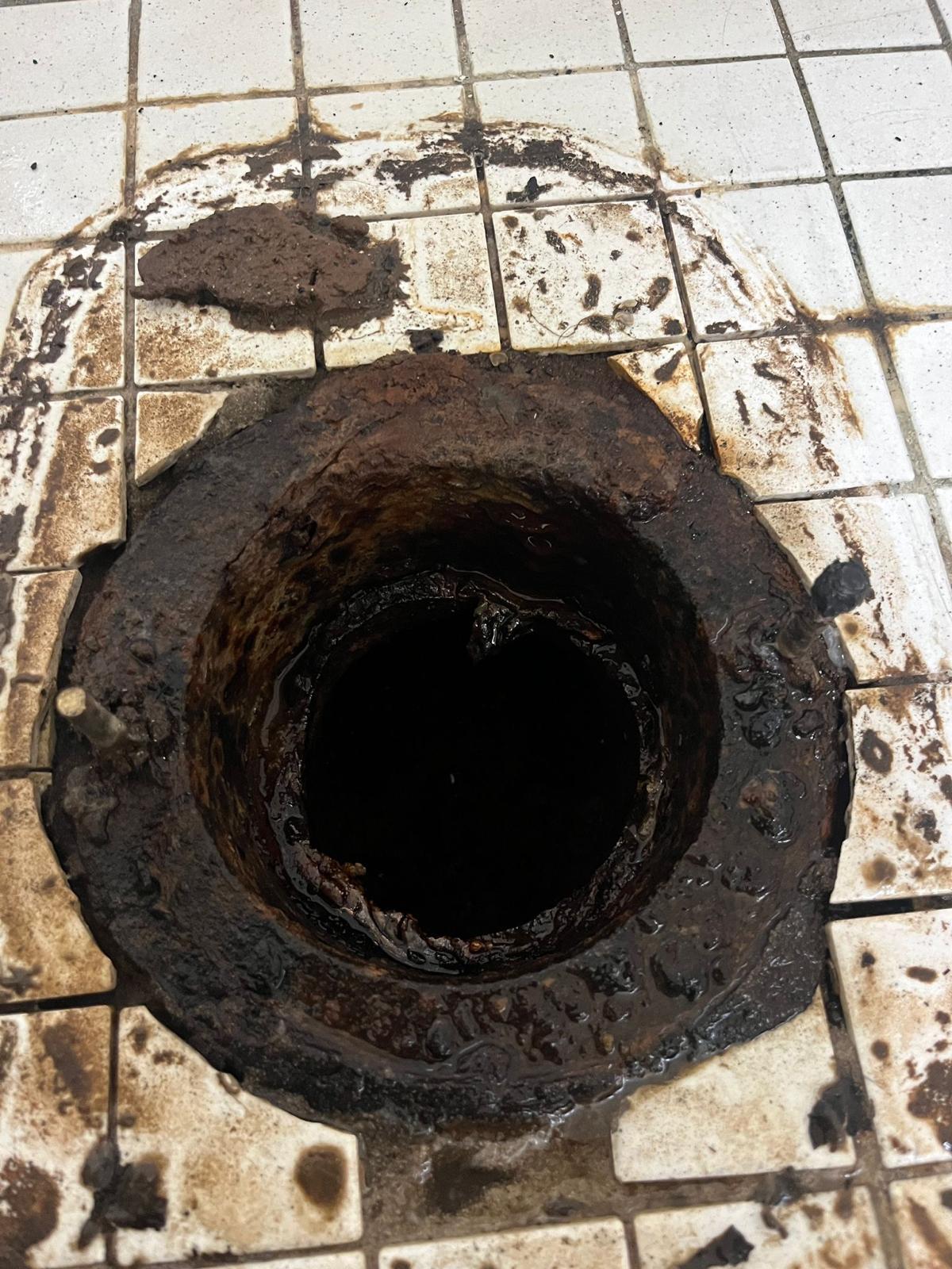 Toilet Ring Replacement in Los Angeles, California